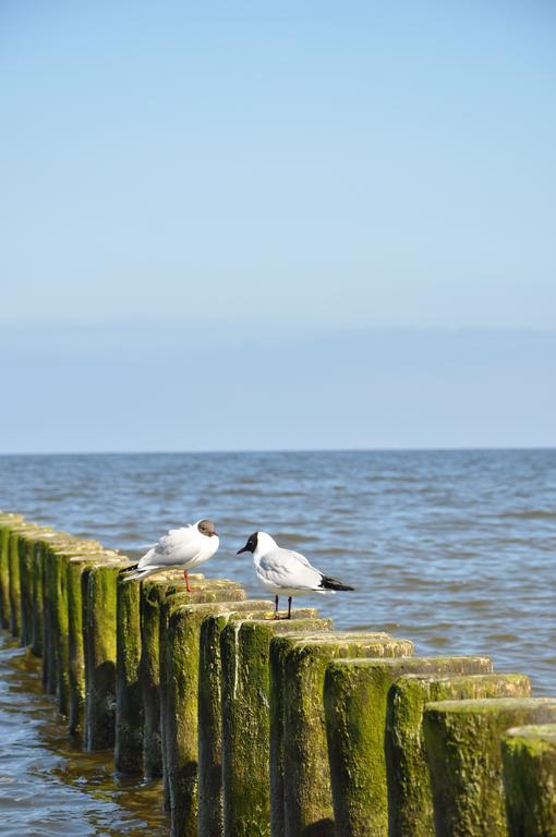 Seetelhotel Nautic Usedom Hotel & Spa Koserow Kültér fotó